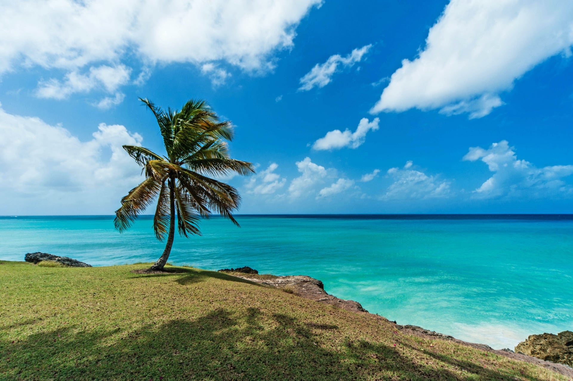 Barbados-Terroir-11